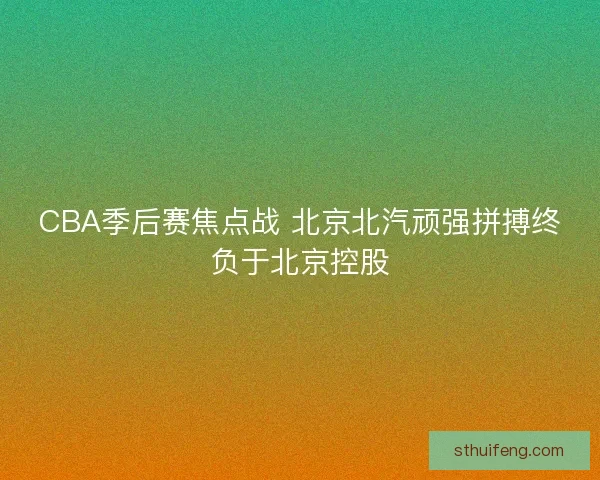 CBA季后赛焦点战 北京北汽顽强拼搏终负于北京控股